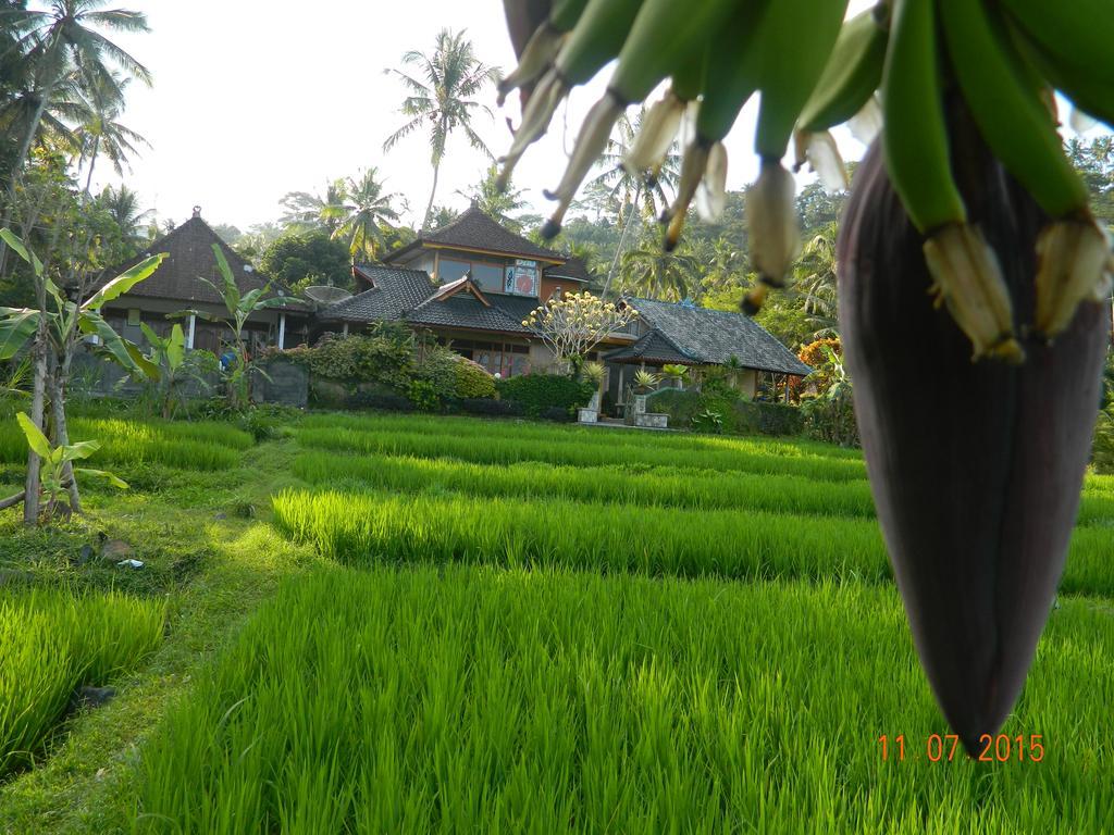 Dau Homestay Karangasem  Luaran gambar