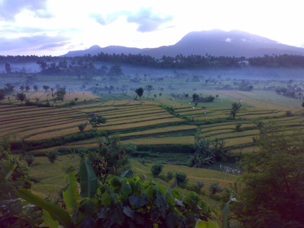Dau Homestay Karangasem  Luaran gambar